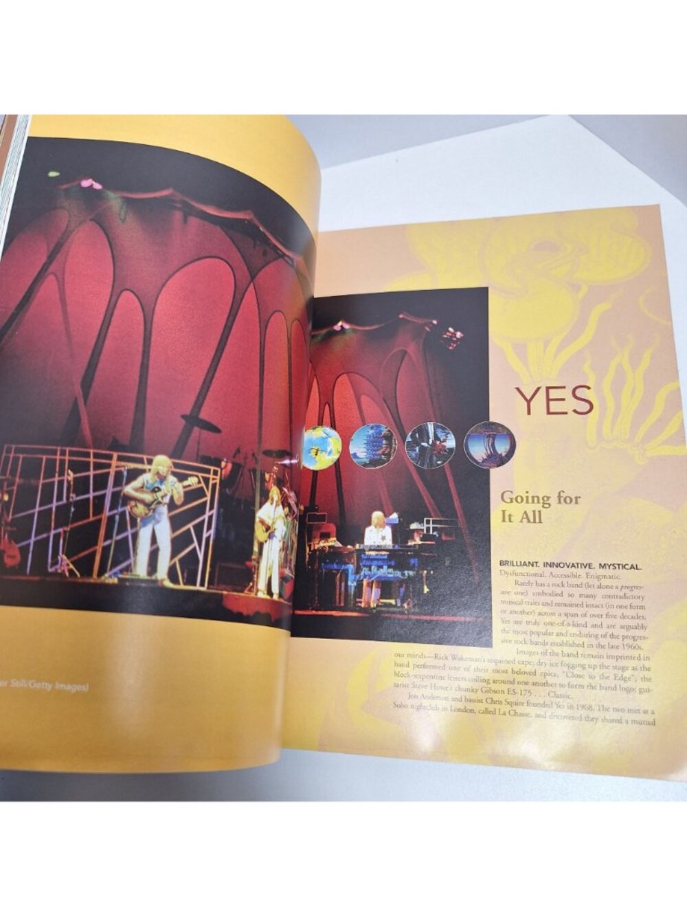 Mountains Come Out Of The Sky Illustrated History Of Prog Rock Used Library Book - Picture 11 of 16